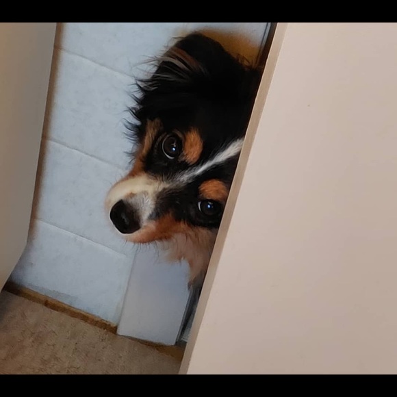 Meet your Posher, Julie - Picture 9 of 10